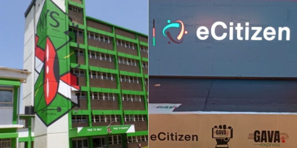 Collage of the NYS offices and the eCitizen platform.